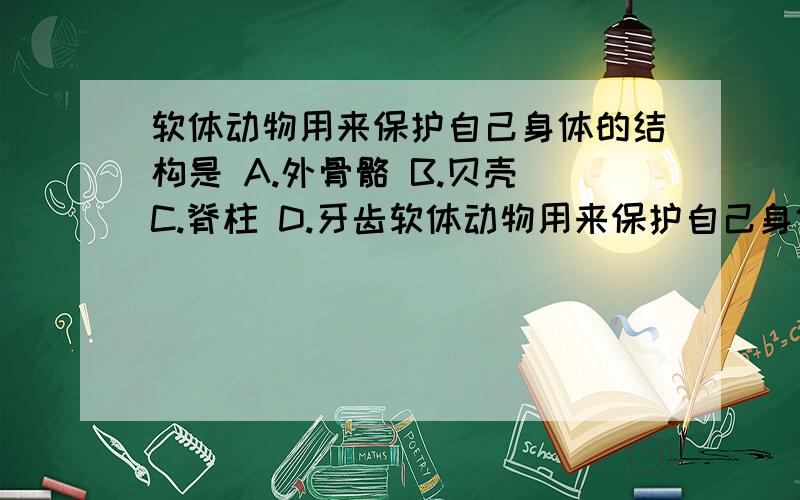 软体动物用来保护自己身体的结构是 A.外骨骼 B.贝壳 C.脊柱 D.牙齿软体动物用来保护自己身体的结构是A.外骨骼B.贝壳C.脊柱D.牙齿