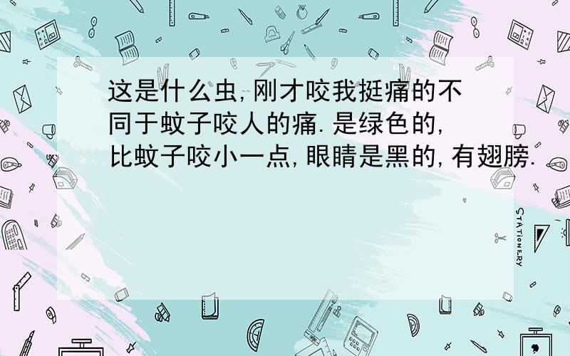 这是什么虫,刚才咬我挺痛的不同于蚊子咬人的痛.是绿色的,比蚊子咬小一点,眼睛是黑的,有翅膀.