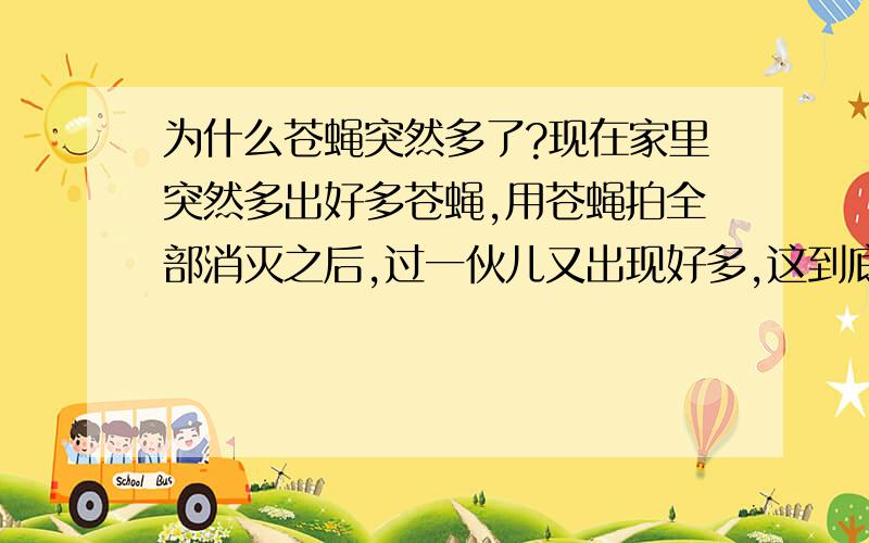 为什么苍蝇突然多了?现在家里突然多出好多苍蝇,用苍蝇拍全部消灭之后,过一伙儿又出现好多,这到底是为什么啊?