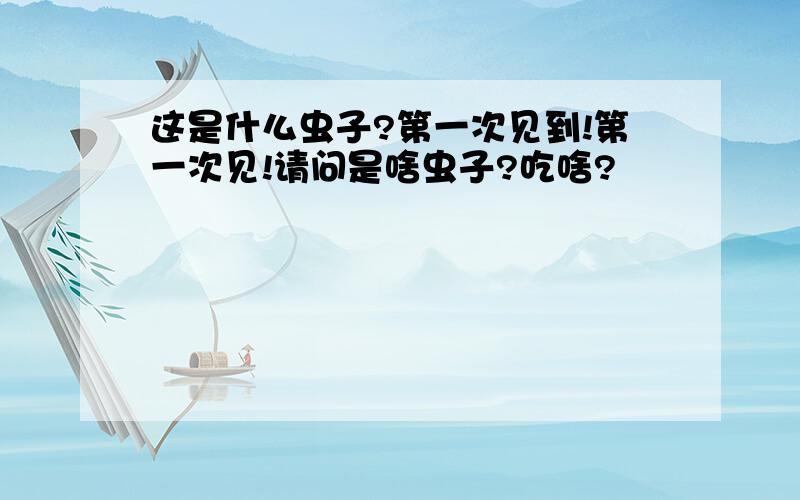 这是什么虫子?第一次见到!第一次见!请问是啥虫子?吃啥?