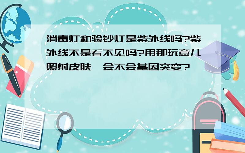 消毒灯和验钞灯是紫外线吗?紫外线不是看不见吗?用那玩意儿照射皮肤,会不会基因突变?