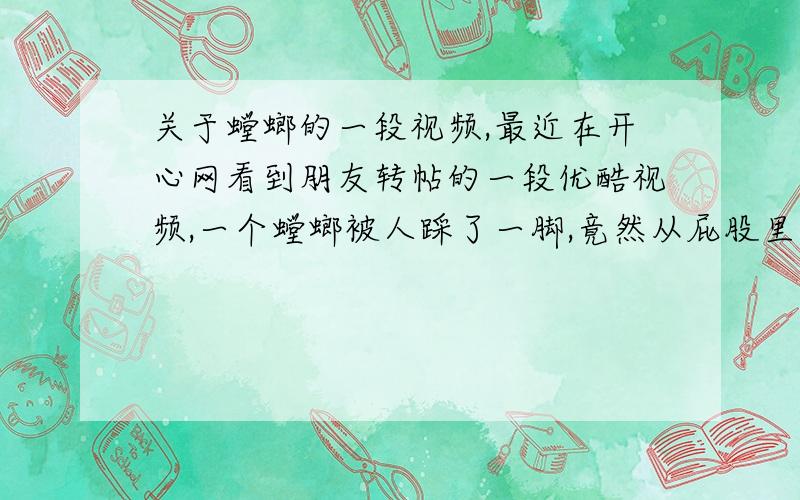 关于螳螂的一段视频,最近在开心网看到朋友转帖的一段优酷视频,一个螳螂被人踩了一脚,竟然从屁股里出来两条黑色的非常长的类似线一样的东西,到底是寄生虫还是什么,真的非常好奇,难道