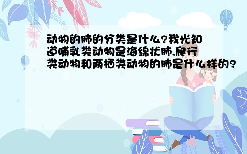 动物的肺的分类是什么?我光知道哺乳类动物是海绵状肺,爬行类动物和两栖类动物的肺是什么样的?