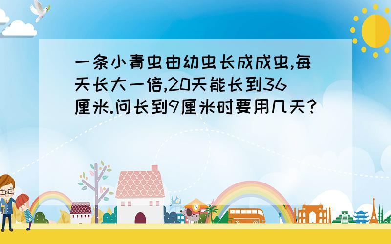 一条小青虫由幼虫长成成虫,每天长大一倍,20天能长到36厘米.问长到9厘米时要用几天?