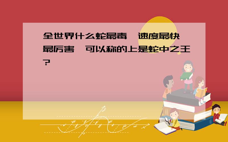 全世界什么蛇最毒,速度最快,最厉害,可以称的上是蛇中之王?