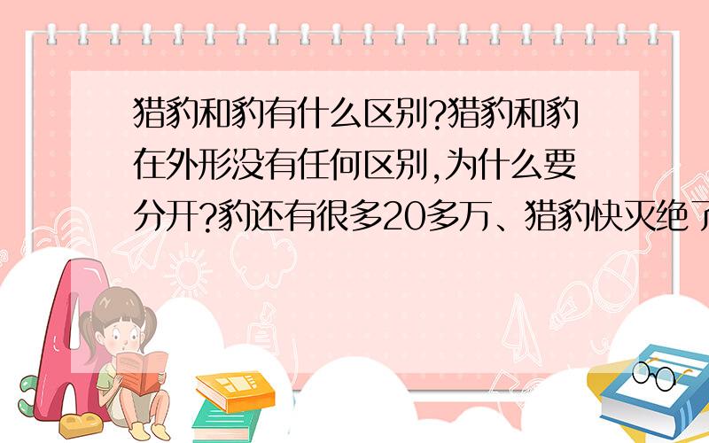 猎豹和豹有什么区别?猎豹和豹在外形没有任何区别,为什么要分开?豹还有很多20多万、猎豹快灭绝了.他们之间有什么区别?