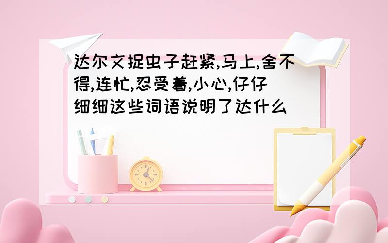 达尔文捉虫子赶紧,马上,舍不得,连忙,忍受着,小心,仔仔细细这些词语说明了达什么