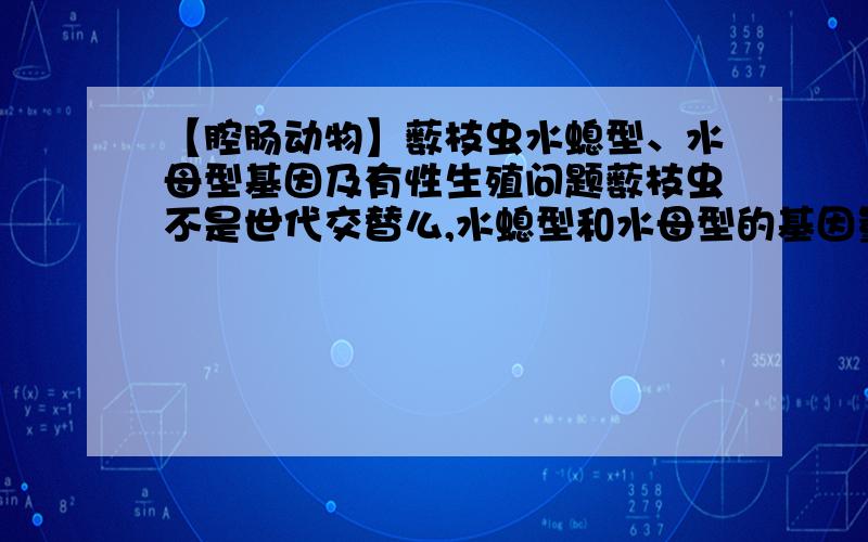 【腔肠动物】薮枝虫水螅型、水母型基因及有性生殖问题薮枝虫不是世代交替么,水螅型和水母型的基因量多少（2N/N）?两次生殖哪次是有性生殖,哪次有减数分裂?