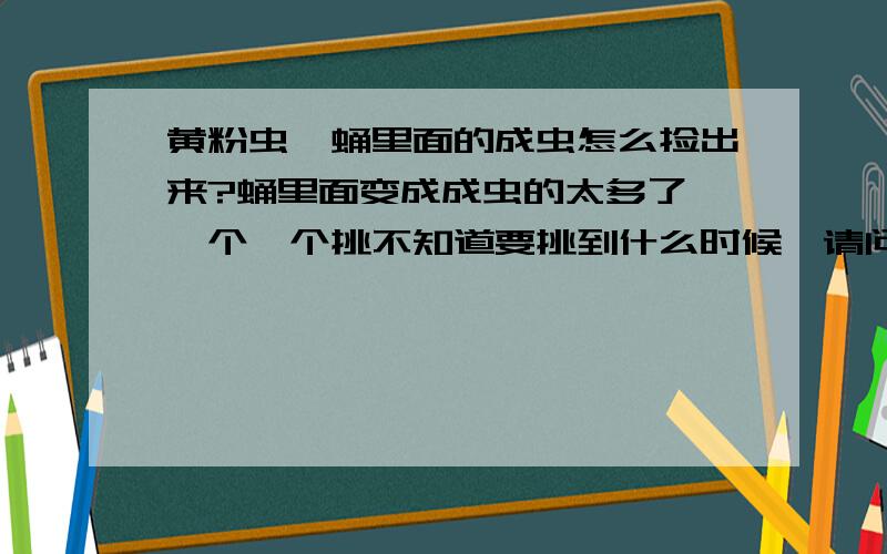 黄粉虫,蛹里面的成虫怎么捡出来?蛹里面变成成虫的太多了,一个一个挑不知道要挑到什么时候,请问有什么好办法把蛹和成虫分开