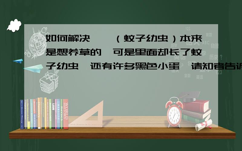 如何解决孑孓（蚊子幼虫）本来是想养草的,可是里面却长了蚊子幼虫,还有许多黑色小蛋,请知者告诉我药房什么鱼和采取什么措施,（还有,好的话有20分,要是不怎么样就5分或不给.）