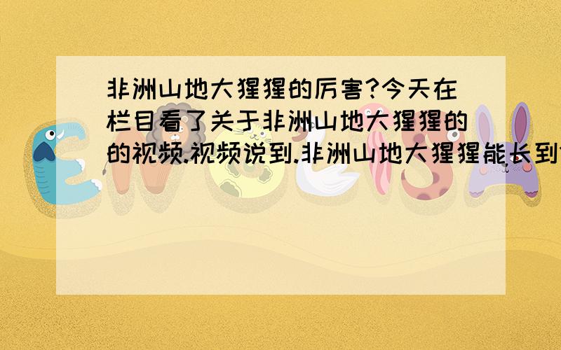 非洲山地大猩猩的厉害?今天在栏目看了关于非洲山地大猩猩的的视频.视频说到.非洲山地大猩猩能长到1.7米到1.78米左右.而且出拳的力度大约是一吨左右!这人给它打一拳胸口.不就挂了?动物