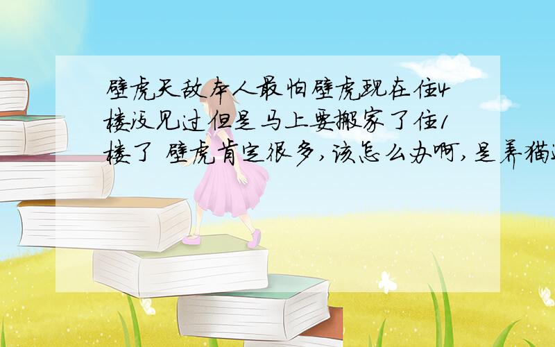 壁虎天敌本人最怕壁虎现在住4楼没见过但是马上要搬家了住1楼了 壁虎肯定很多,该怎么办啊,是养猫还是养鸟啊,我看到这东西就鸡皮疙瘩 别说打死它了