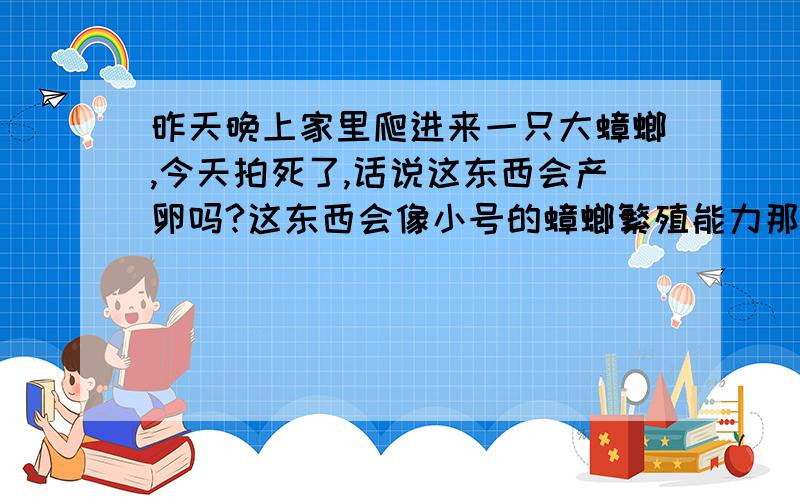 昨天晚上家里爬进来一只大蟑螂,今天拍死了,话说这东西会产卵吗?这东西会像小号的蟑螂繁殖能力那么强吗?如果这货产已经产卵了,怎么灭?出现了一只还会有第二只吗?注意,是大号小强,带翅