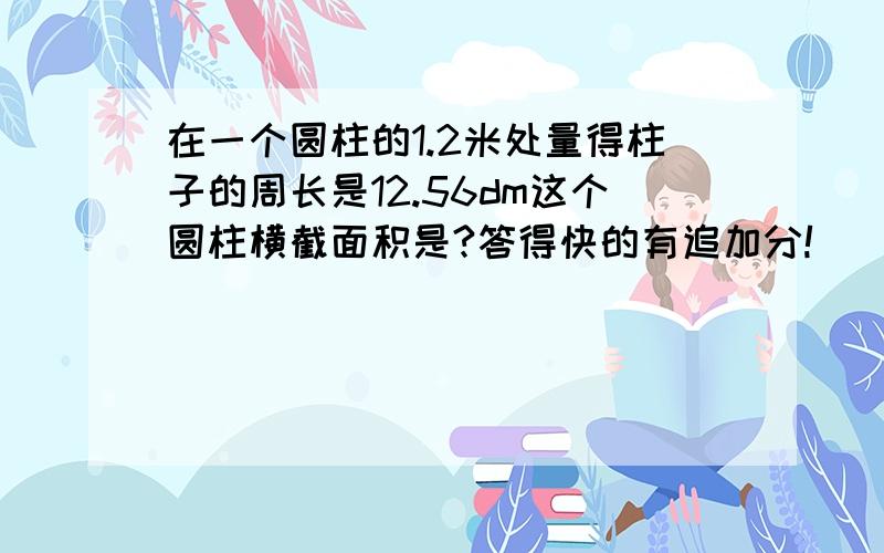 在一个圆柱的1.2米处量得柱子的周长是12.56dm这个圆柱横截面积是?答得快的有追加分!