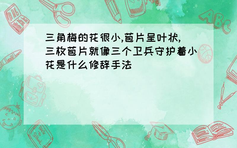 三角梅的花很小,苞片呈叶状,三枚苞片就像三个卫兵守护着小花是什么修辞手法