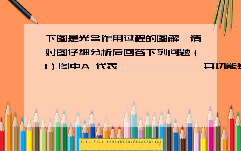 下图是光合作用过程的图解,请对图仔细分析后回答下列问题（1）图中A 代表________,其功能是_______ _.（2）图中B 是________,在光合作用过程中来自于______ __.（3）图中C 是________,它被传递到叶绿