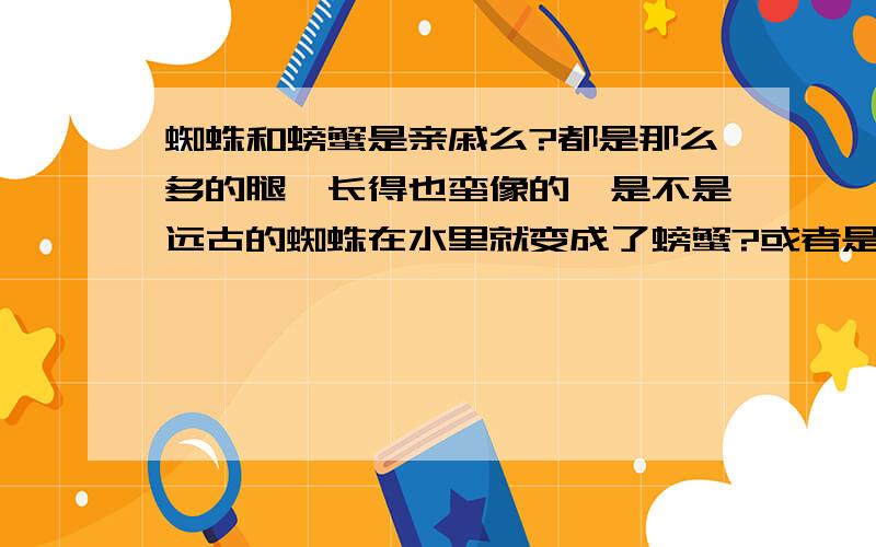 蜘蛛和螃蟹是亲戚么?都是那么多的腿,长得也蛮像的,是不是远古的蜘蛛在水里就变成了螃蟹?或者是螃蟹上岸就进化成蜘蛛了?