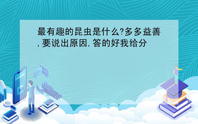 最有趣的昆虫是什么?多多益善,要说出原因,答的好我给分