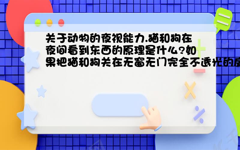 关于动物的夜视能力.猫和狗在夜间看到东西的原理是什么?如果把猫和狗关在无窗无门完全不透光的房间里,它们能看到东西吗?