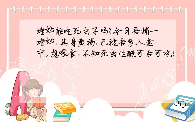 螳螂能吃死虫子吗?今日吾捕一螳螂,其身黄褐,已被吾装入盒中,想喂食,不知死虫这厮可否可吃?