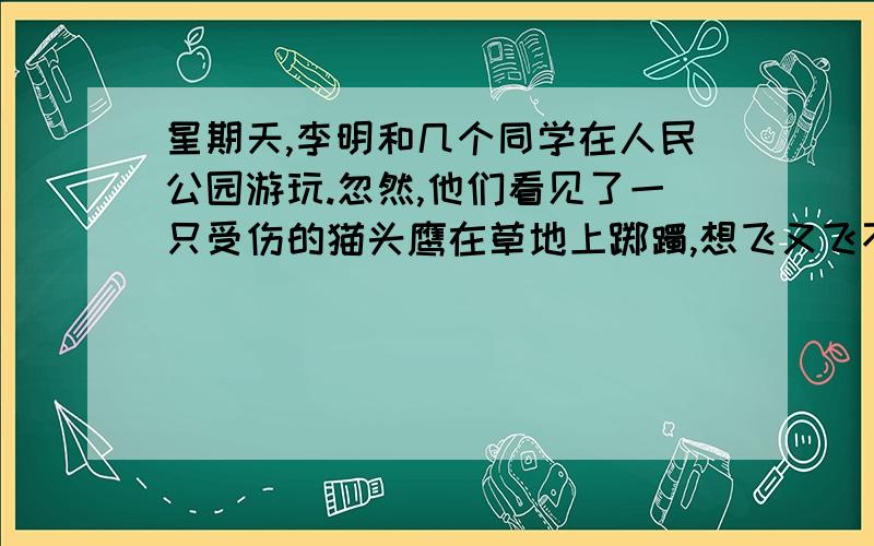 星期天,李明和几个同学在人民公园游玩.忽然,他们看见了一只受伤的猫头鹰在草地上踯躅,想飞又飞不起来,于是同学们上去抓住了它.1.看了故事,请你发挥想象,至少写出三种处理意见