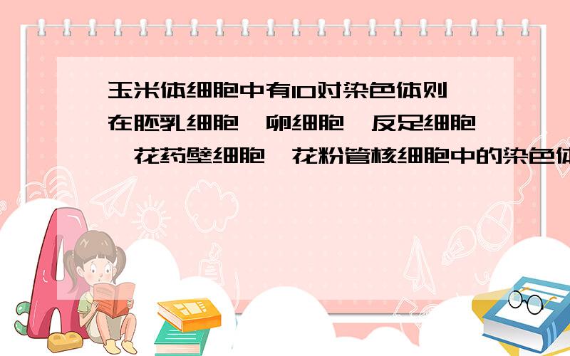 玉米体细胞中有10对染色体则在胚乳细胞、卵细胞、反足细胞、花药壁细胞、花粉管核细胞中的染色体数目?大学《遗传学》问题