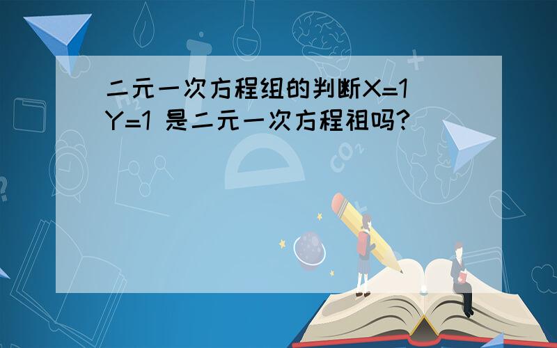 二元一次方程组的判断X=1 Y=1 是二元一次方程祖吗?