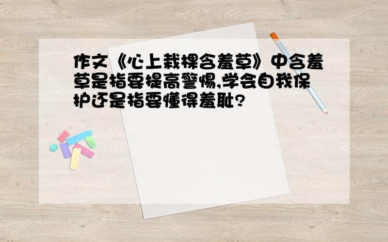 作文《心上栽棵含羞草》中含羞草是指要提高警惕,学会自我保护还是指要懂得羞耻?