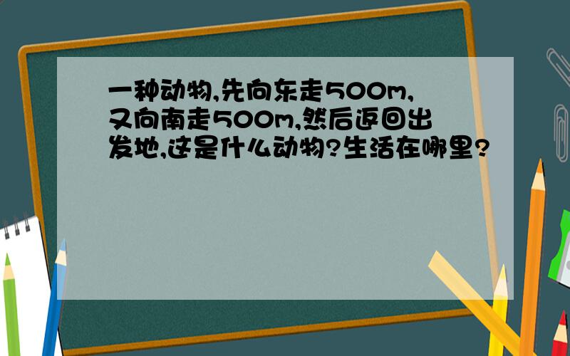 一种动物,先向东走500m,又向南走500m,然后返回出发地,这是什么动物?生活在哪里?