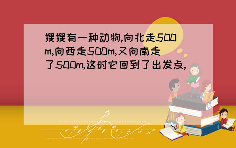 搜搜有一种动物,向北走500m,向西走500m,又向南走了500m,这时它回到了出发点,