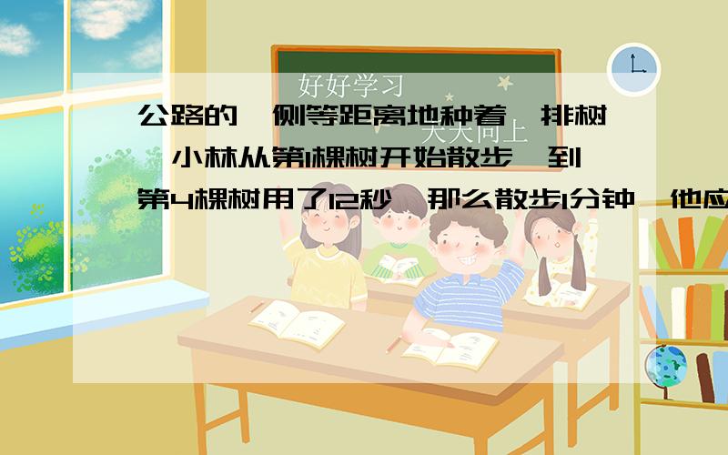 公路的一侧等距离地种着一排树,小林从第1棵树开始散步,到第4棵树用了12秒,那么散步1分钟,他应该到了第几棵树旁?