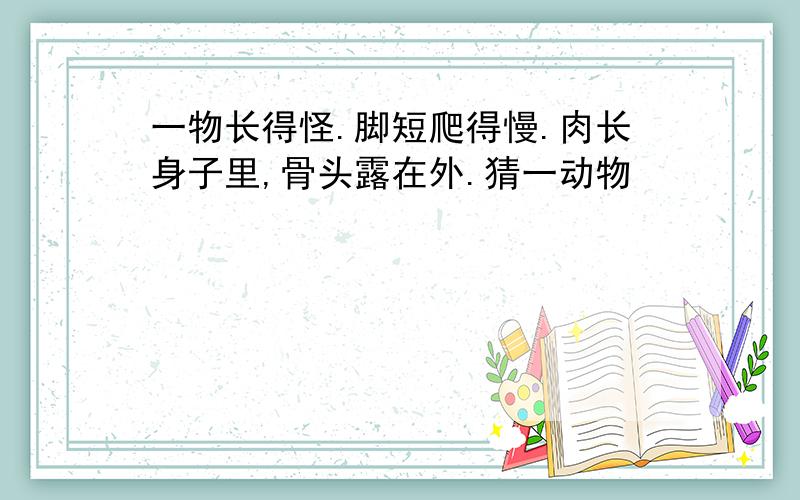 一物长得怪.脚短爬得慢.肉长身子里,骨头露在外.猜一动物