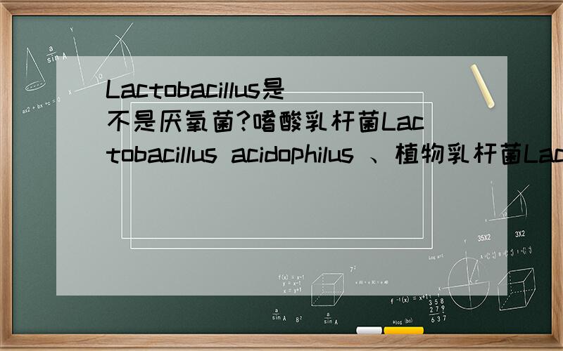 Lactobacillus是不是厌氧菌?嗜酸乳杆菌Lactobacillus acidophilus 、植物乳杆菌Lactobacillus plantarum、保加利亚乳杆菌Lactobacillus bulgaricus 是厌氧菌还是兼性厌氧菌?