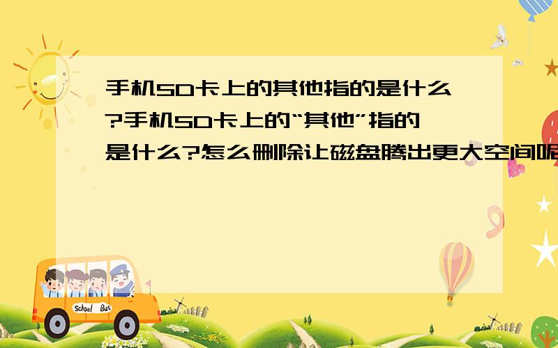 手机SD卡上的其他指的是什么?手机SD卡上的“其他”指的是什么?怎么删除让磁盘腾出更大空间呢?