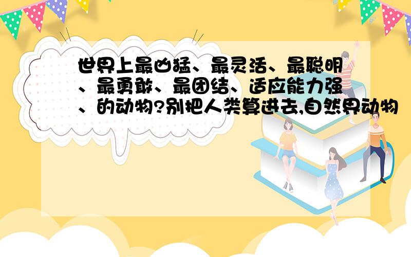 世界上最凶猛、最灵活、最聪明、最勇敢、最团结、适应能力强、的动物?别把人类算进去,自然界动物