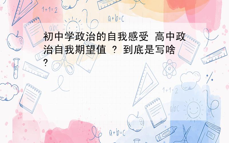 初中学政治的自我感受 高中政治自我期望值 ? 到底是写啥?