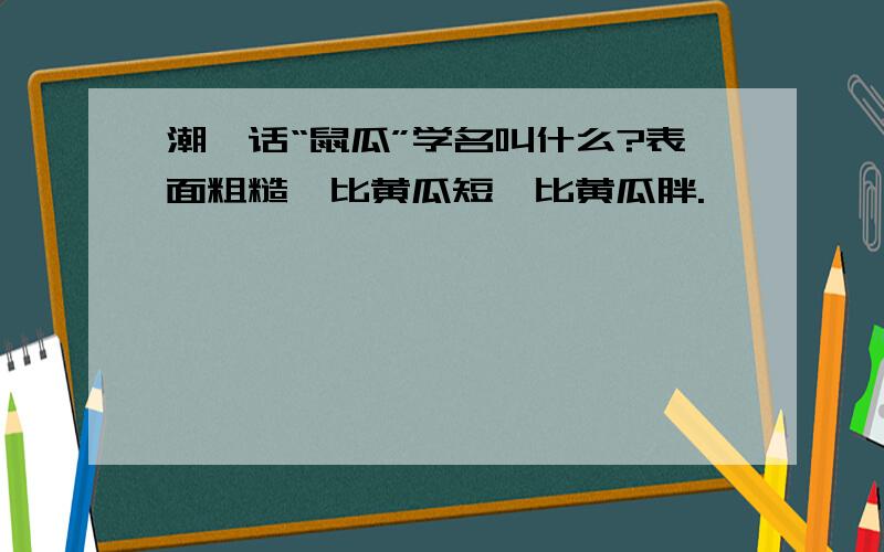 潮汕话“鼠瓜”学名叫什么?表面粗糙,比黄瓜短,比黄瓜胖.