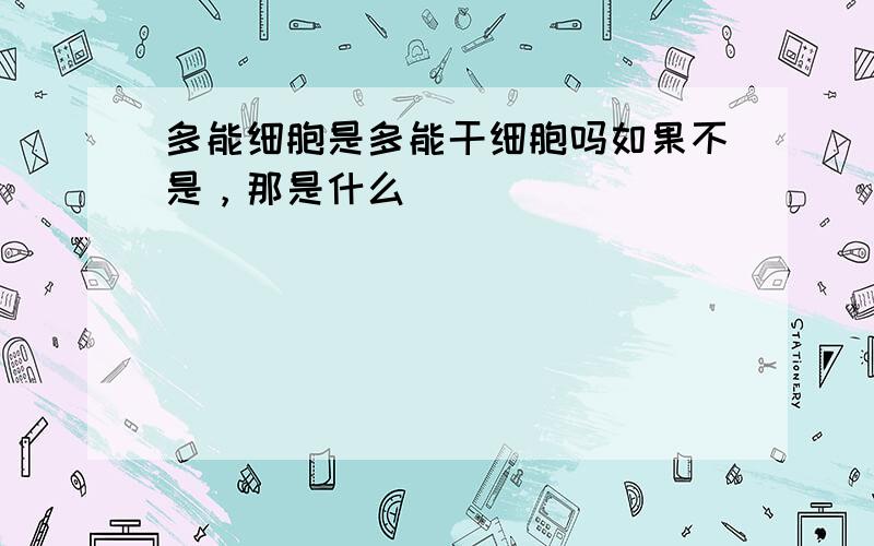 多能细胞是多能干细胞吗如果不是，那是什么