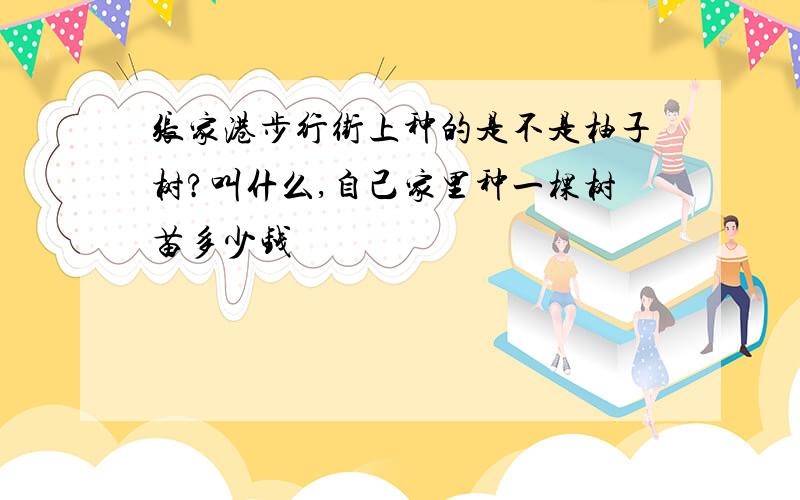 张家港步行街上种的是不是柚子树?叫什么,自己家里种一棵树苗多少钱