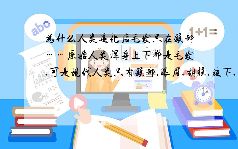 为什么人类退化后毛发只在头部……原始人类浑身上下都是毛发,可是现代人类只有头部,眼眉,胡须,腋下,和那里有浓密的毛毛.为什么?如果说眼眉可以阻挡水流入眼睛,是一种生物自我的保护