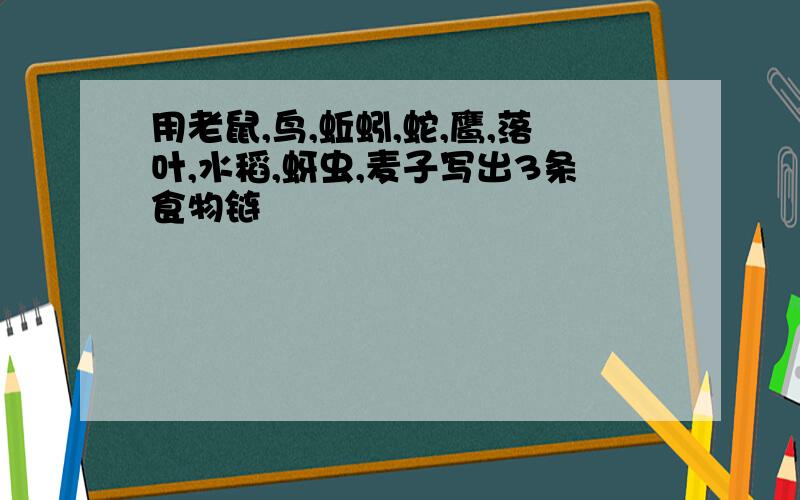 用老鼠,鸟,蚯蚓,蛇,鹰,落叶,水稻,蚜虫,麦子写出3条食物链