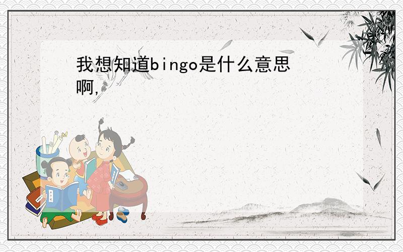 我想知道bingo是什么意思啊,