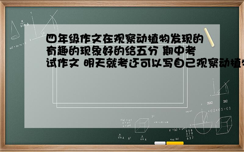 四年级作文在观察动植物发现的有趣的现象好的给五分 期中考试作文 明天就考还可以写自己观察动植物得到的启发