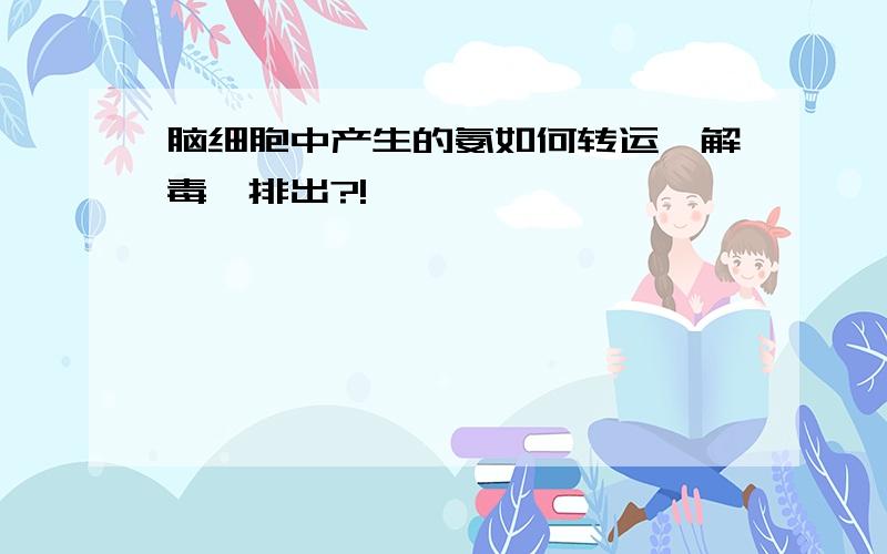 脑细胞中产生的氨如何转运、解毒、排出?!