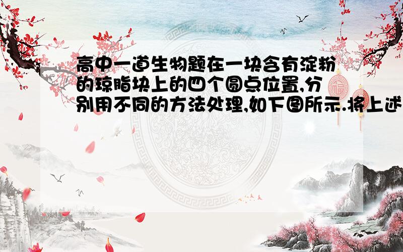 高中一道生物题在一块含有淀粉的琼脂块上的四个圆点位置,分别用不同的方法处理,如下图所示.将上述实验装置放入37℃恒温箱中,保温处理24小时后,用碘液滴在琼脂块上,可见其上面呈蓝色的