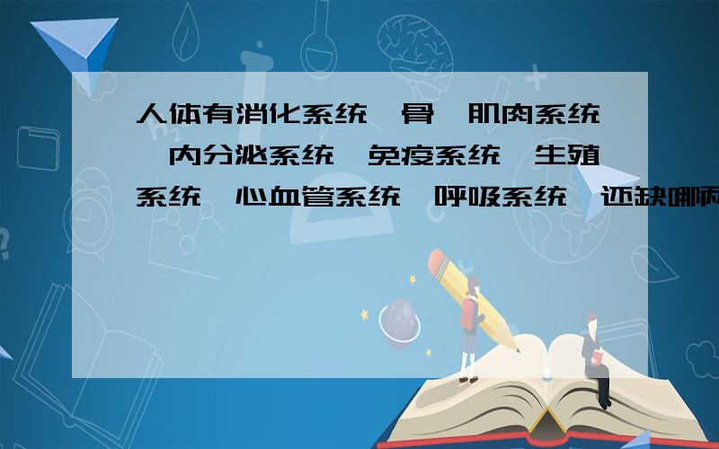 人体有消化系统,骨骼肌肉系统,内分泌系统,免疫系统,生殖系统,心血管系统,呼吸系统,还缺哪两系统?