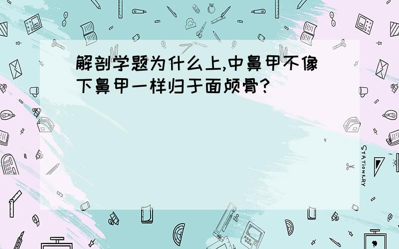 解剖学题为什么上,中鼻甲不像下鼻甲一样归于面颅骨?