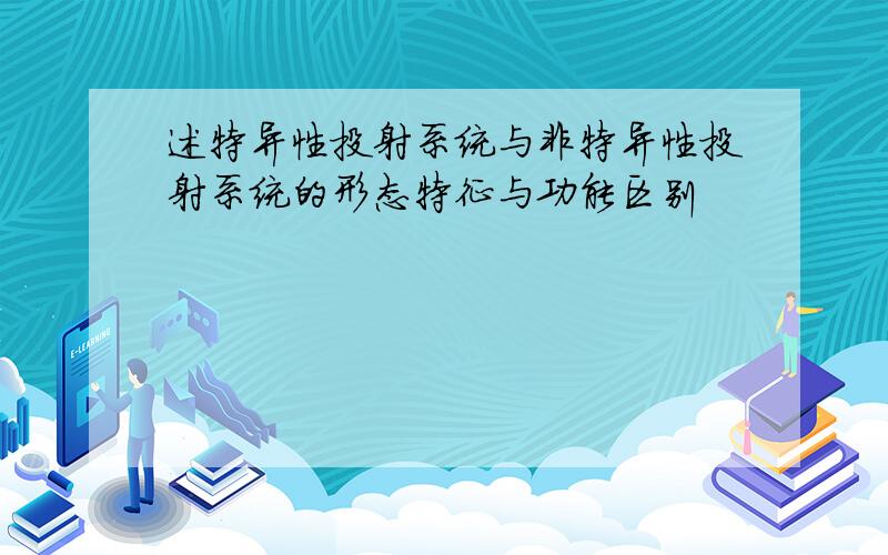 述特异性投射系统与非特异性投射系统的形态特征与功能区别