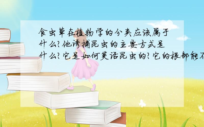 食虫草在植物学的分类应该属于什么?他诱捕昆虫的主要方式是什么?它是如何笑话昆虫的?它的根部能不能吸收无机盐?它捕捉昆虫主要是为了吸收什么?可以作为室内盆景吗?能用来消灭蚊虫吗?