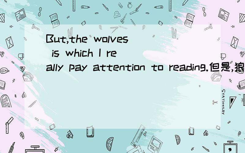 But,the wolves is which I really pay attention to reading.但是,狼才是我真正关注的.如果不对求改正,